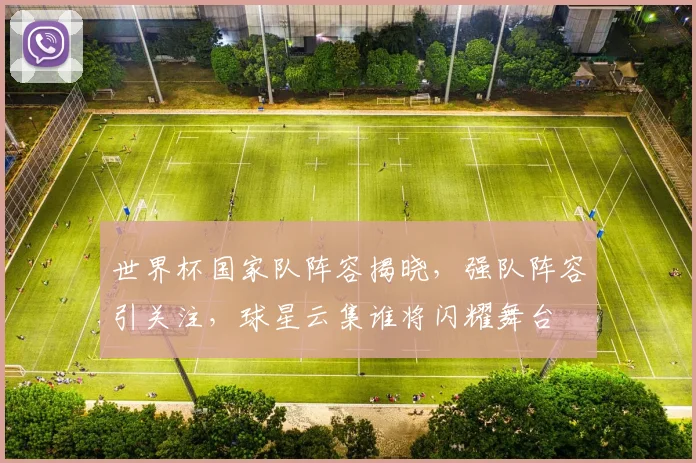 世界杯国家队阵容揭晓，强队阵容引关注，球星云集谁将闪耀舞台