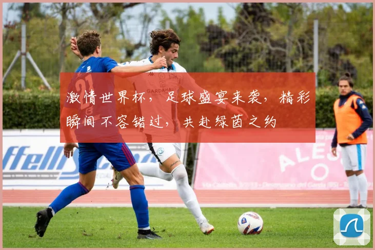 激情世界杯，足球盛宴来袭，精彩瞬间不容错过，共赴绿茵之约