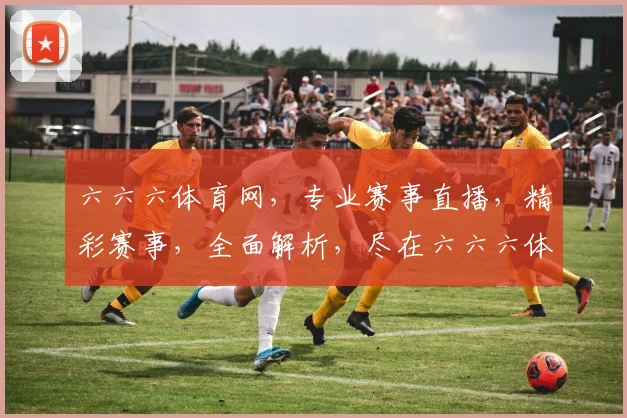 六六六体育网，专业赛事直播，精彩赛事，全面解析，尽在六六六体育网，不容错过