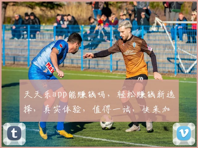 天天乐app能赚钱吗，轻松赚钱新选择，真实体验，值得一试，快来加入
