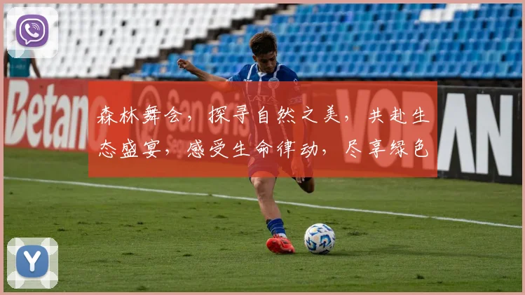 森林舞会，探寻自然之美，共赴生态盛宴，感受生命律动，尽享绿色之旅