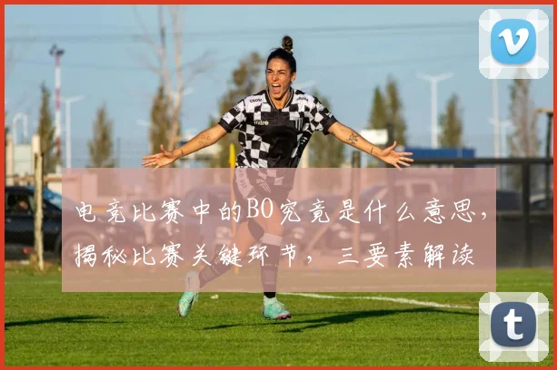 电竞比赛中的BO究竟是什么意思，揭秘比赛关键环节，三要素解读