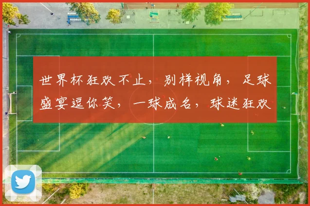 世界杯狂欢不止，别样视角，足球盛宴逗你笑，一球成名，球迷狂欢
